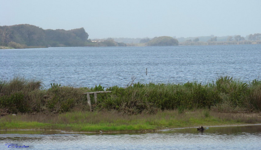 Parco nazionale del Circeo